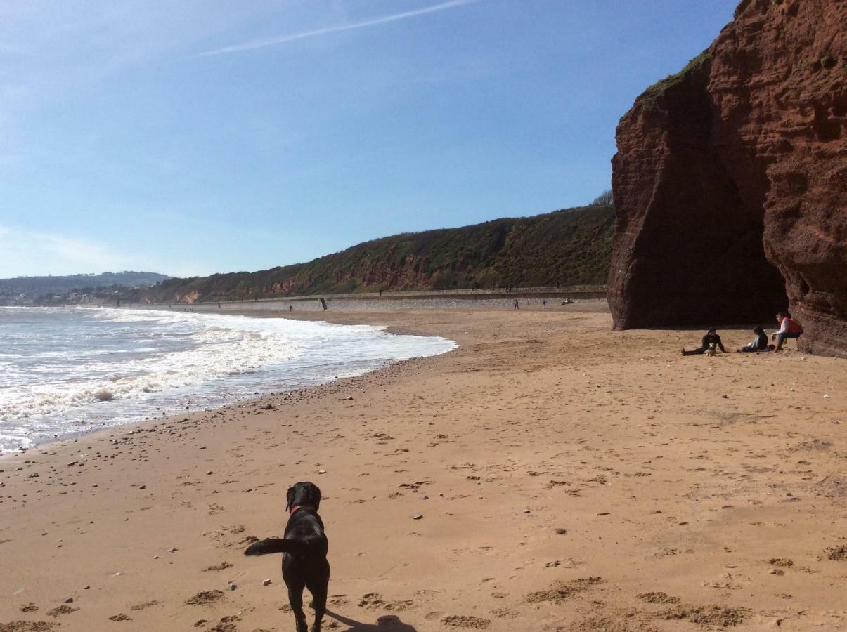 Hotel Warren Retreat Dawlish Zewnętrze zdjęcie
